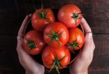 Photo of فوائد الطماطم للشعر| 5 وصفات لشعر أكثر حيوية