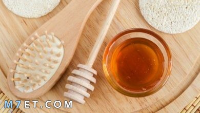 Photo of أهم فوائد العسل للشعر الجاف والمتقصف لشعر أكثر حيوية وخالي من التلف
