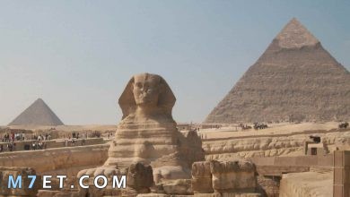 Photo of أين تقع الاهرامات في مصر