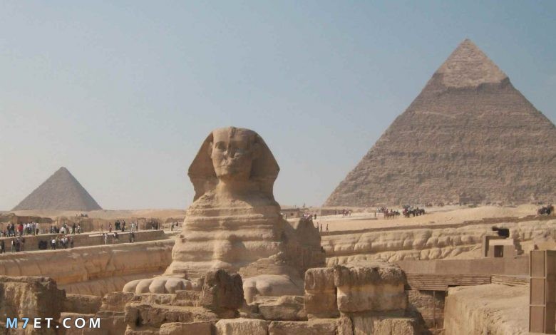أين تقع الاهرامات في مصر