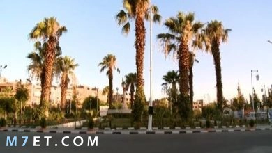 Photo of تاريخ مدينة دوما السورية العريقة