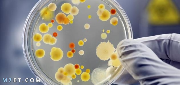 الامراض التي تسببها البكتريا