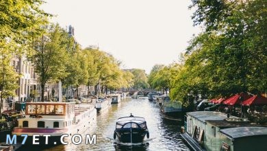 Photo of أشهر مدن هولندا السياحية لعام 2022