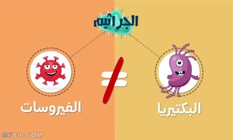 الفرق بين البكتيريا والفيروس