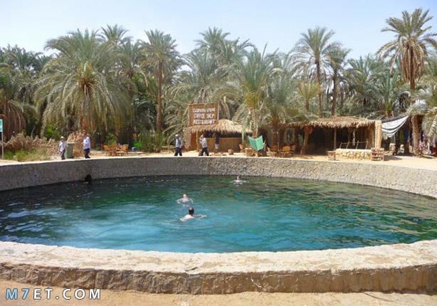 مقومات السياحة العلاجية في مصر