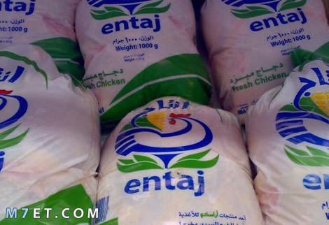 أفضل دجاج مجمد في مصر والسعودية والكويت وبعض الدول الأخرى