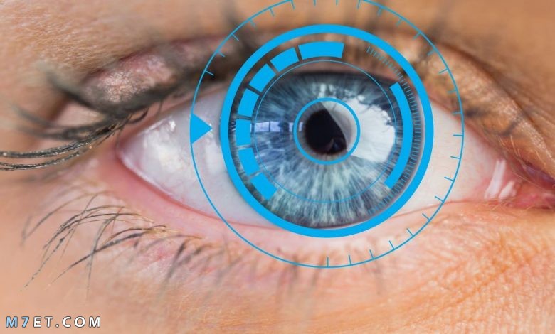 أجزاء العين وظائفها وآلية عملها 2021
