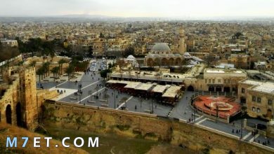 Photo of اكبر مدينة في سوريا ومعالمها السياحية