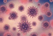 Photo of الامراض الفيروسية | 9 من اكثر الامراض الفيروسية انتشاراً