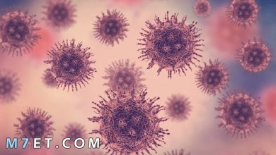 Photo of الامراض الفيروسية | 9 من اكثر الامراض الفيروسية انتشاراً