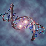 بحث شامل عن الصفات الوراثية وعلم الوراثة