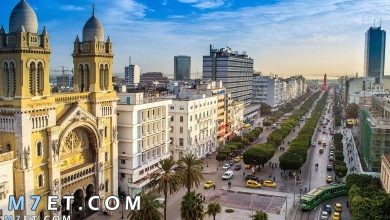 Photo of أجمل مدن سياحية في تونس لعام 2024