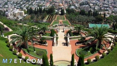Photo of أكبر مدن في فلسطين