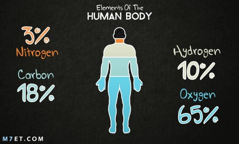 العناصر في جسم الإنسان