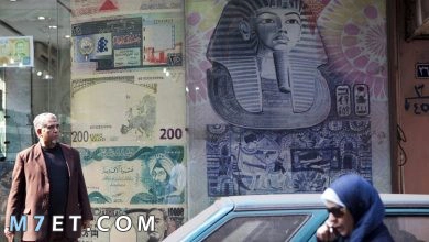 Photo of أكبر الدول العربية سكاناً