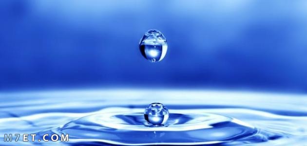 أهمية الماء لصحة الإنسان