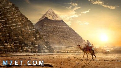 Photo of السياحة بمصر وأهم الأماكن السياحية