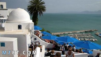 Photo of المدن السياحية بتونس | افضل المدن التونسية للسياحة