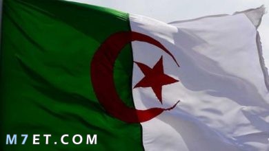 Photo of أهم خصائص الدولة الجزائرية