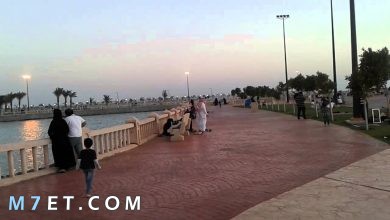 Photo of قرية ذهبان في الأسواق والمتنزهات