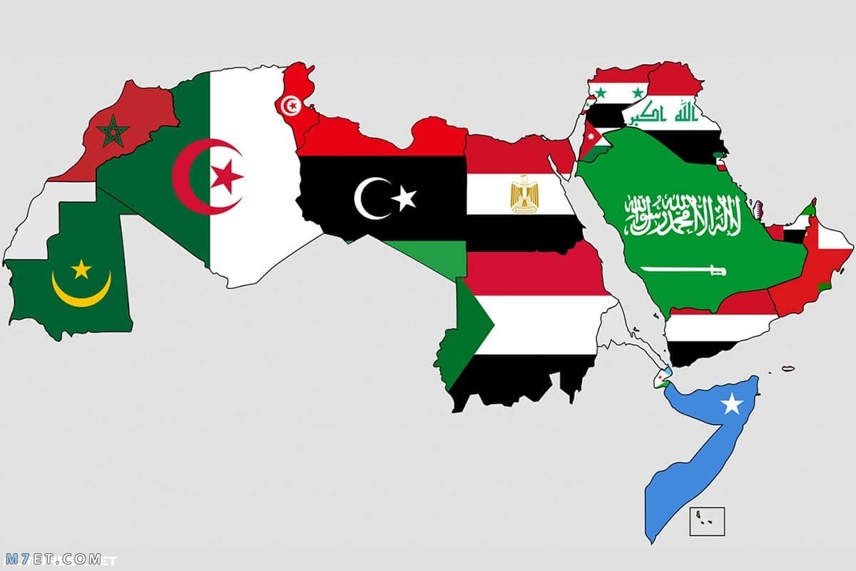 دول عربية وأفريقية