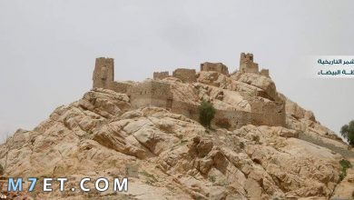 Photo of مدينة البيضاء في اليمن