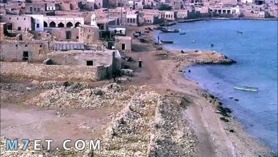 Photo of مدينة الخور في قطر واهم المعلومات عنها