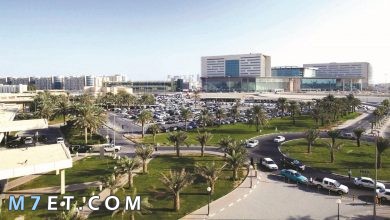Photo of مدينة الريان في قطر واهم الأماكن السياحية بها
