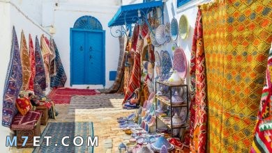 Photo of أفضل مناطق السفر إلى تونس 2024