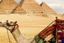 Photo of بحث عن انواع السياحة في مصر