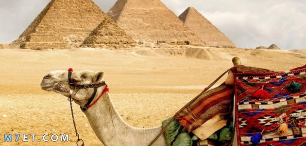 بحث عن انواع السياحة في مصر