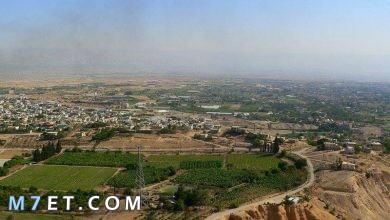 Photo of أهم المعلومات حول مدينة اريحا الفلسطينة والسورية