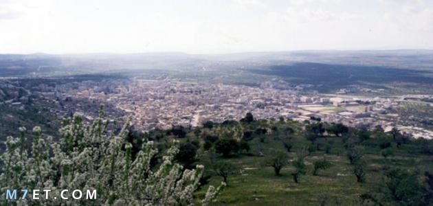 مدينة إدلب