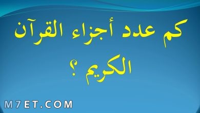 Photo of كم عدد أجزاء القرآن الكريم