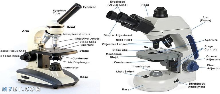 أجزاء المجهر الضوئي