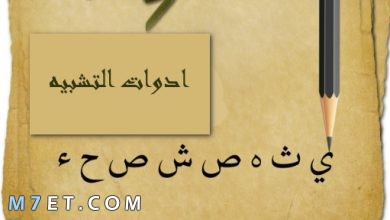 Photo of ادوات التشبيه باللغة العربية وأهميتها