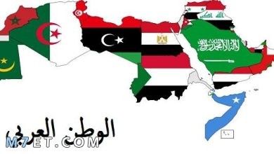 Photo of الأهمية الاستراتيجية للوطن العربي