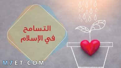 Photo of موضوع عن التسامح واهم فوائده