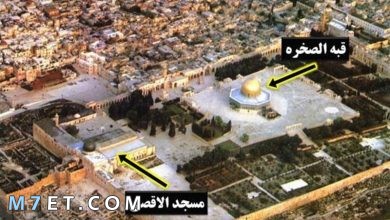 Photo of الفرق بين المسجد الأقصى وقبة الصخرة