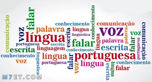 اهم لغات العالم