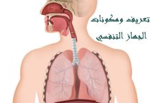 Photo of تعريف ومكونات الجهاز التنفسي