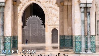 Photo of حق المساجد في الاسلام