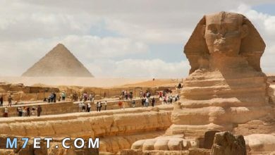 Photo of بحث عن السياحة في مصر