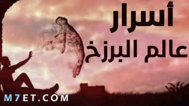 Photo of أهم المعلومات حول عالم البرزخ