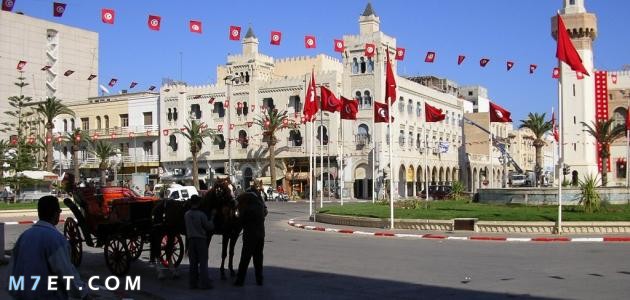 بحث حول مدينة تونس