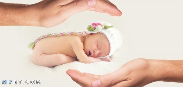 تربية الأطفال حديثي الولادة