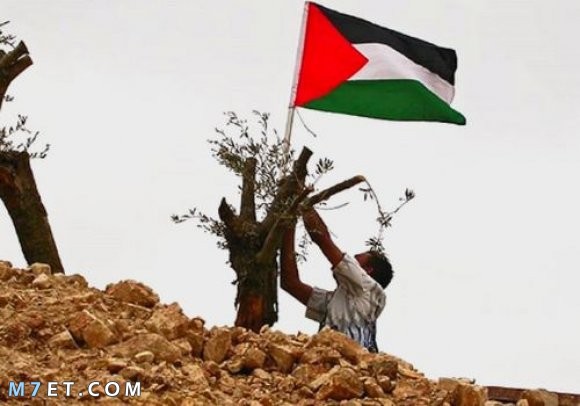 إحتلال فلسطين