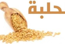 Photo of أضرار الحلبة للرجال والأطفال