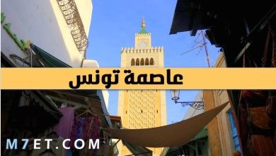Photo of بحث حول عاصمة تونس وأبرز معالمها