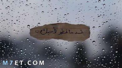 Photo of عبارات عن المطر تعبر عن الروح النابضة للسماء والعناق الدافئ بعد البكاء
